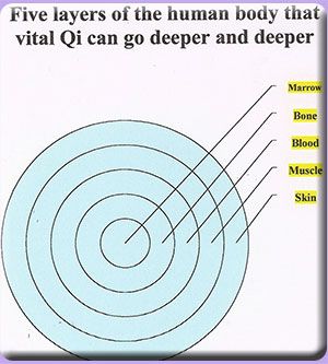 Five Layer Chart